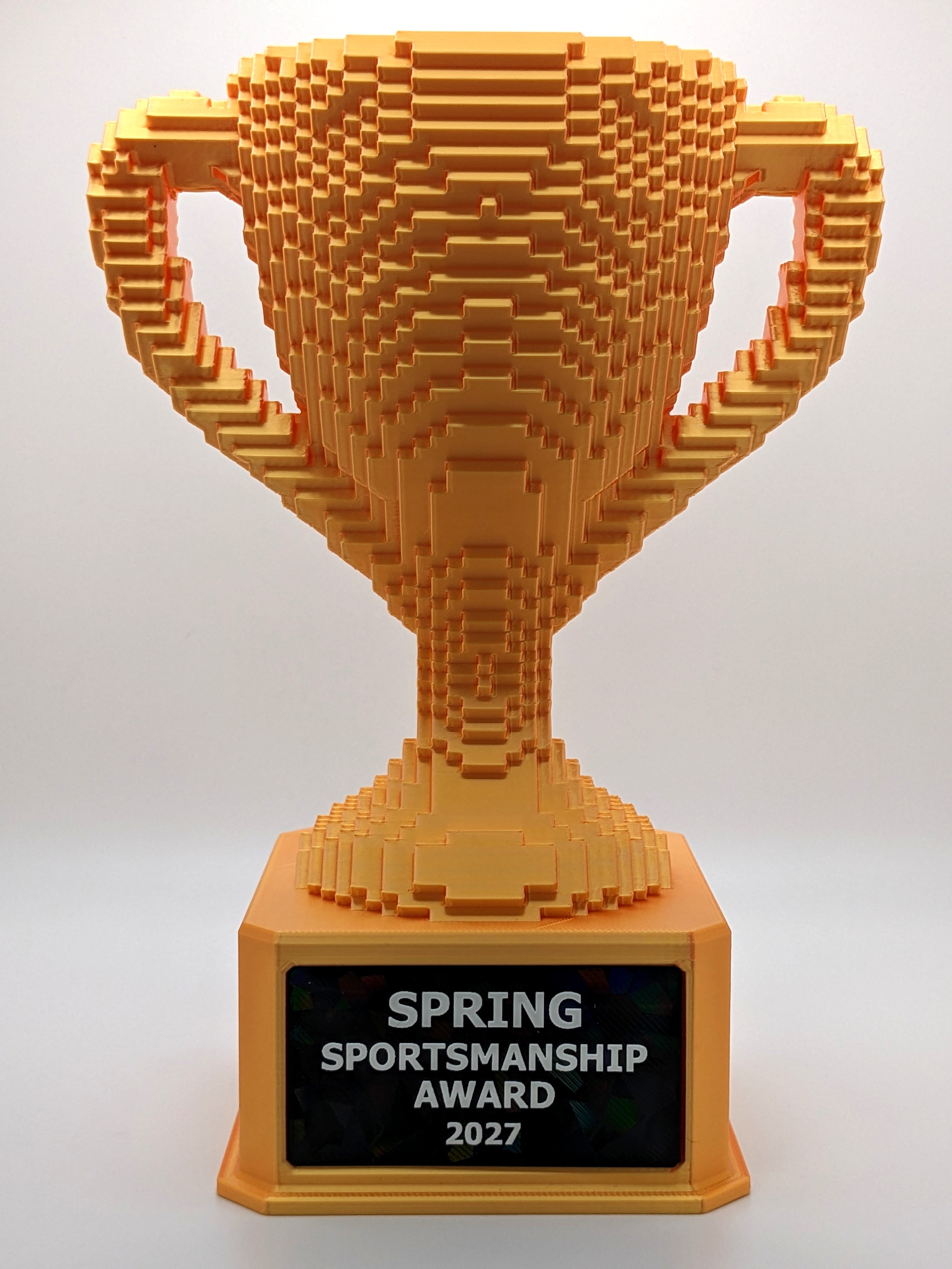 Gold Voxel Trophy - Customizable