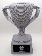 Silver Voxel Trophy - Customizable