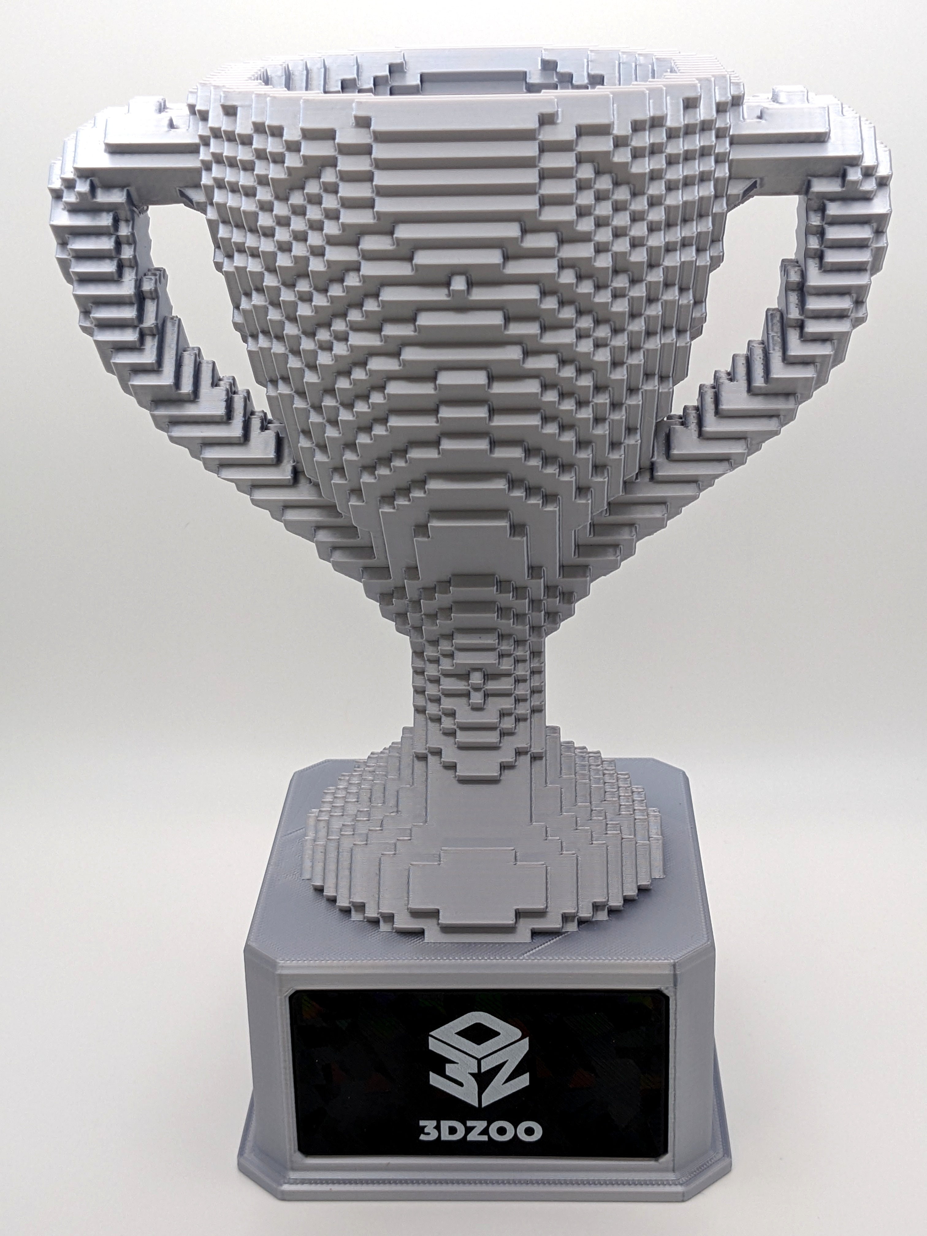 Silver Voxel Trophy - Customizable