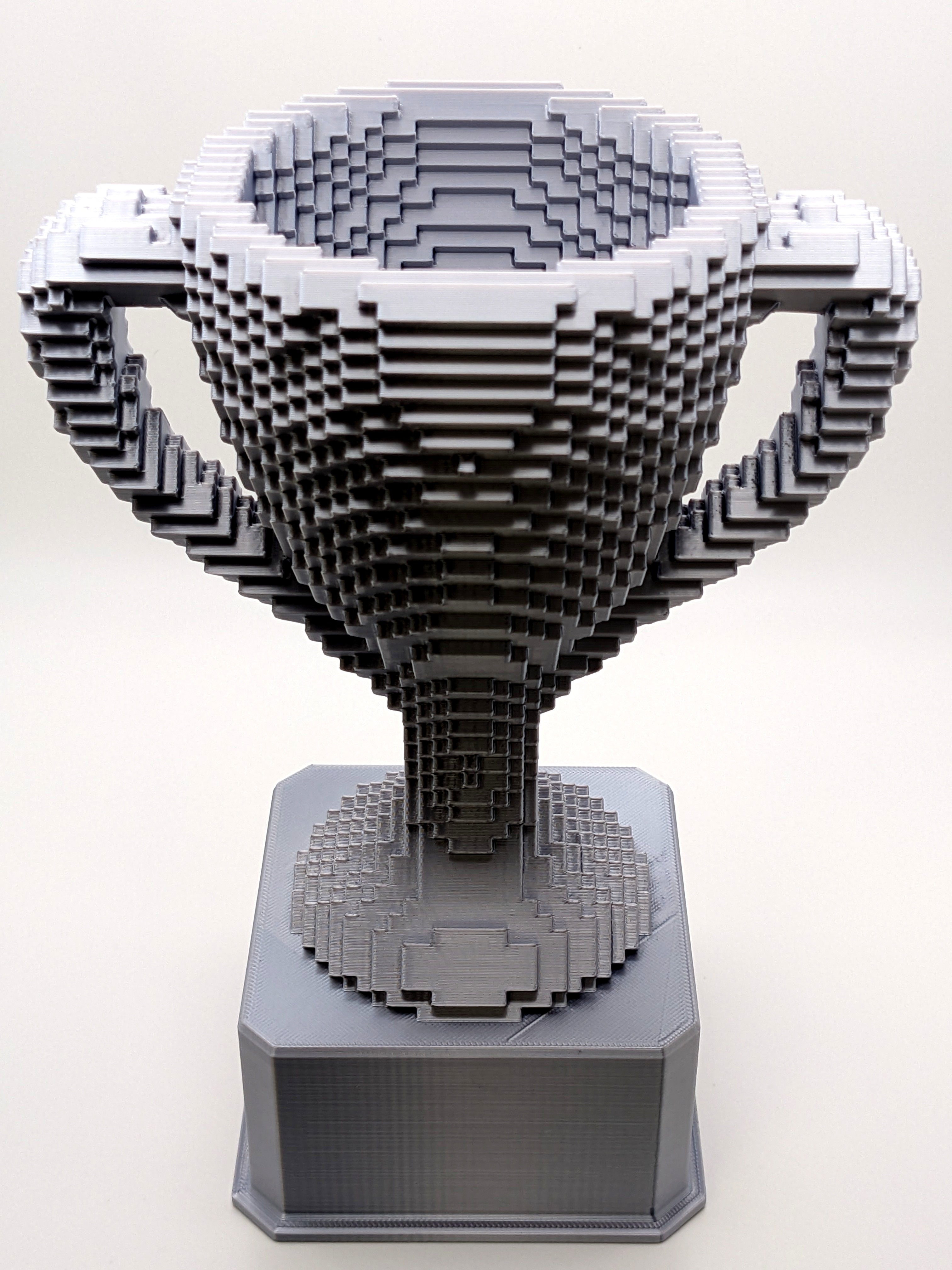 Silver Voxel Trophy - Customizable